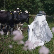 Ibena Wohndecke Servus 150 x