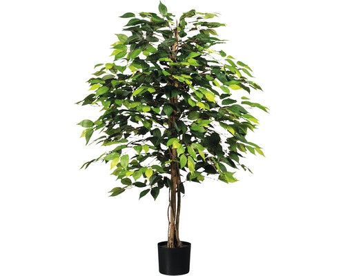 Kunstpflanze ficus benjamin - kunstpflanze,