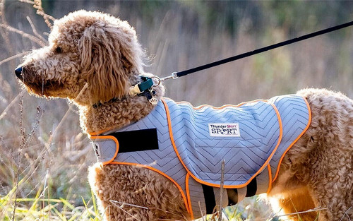 Thundershirt dog anxiety - dog,