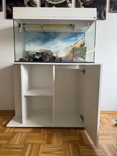 Lucky Reptile Starter Kit Komplettset Landschildkröte ca. B80/H52/T40 cm