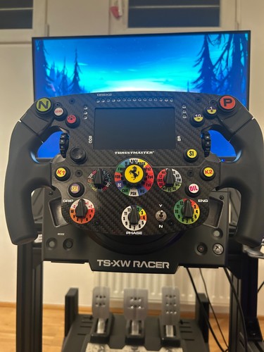 Thrustmaster formula wheel - formula,