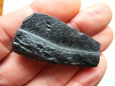 Schöner, großer, schwarzer