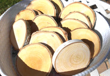 15 x Holzscheiben Astscheiben