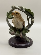 Unsere schöne Vogelwelt