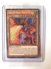 Spieldrache der - spieldrache,