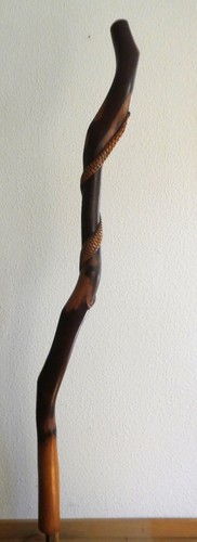 Rarität eukalyptus - rarität:,
