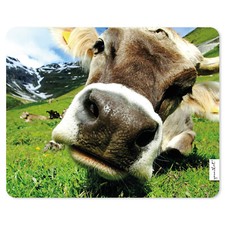 Mauspad mit Kuh-Motiv I 24 x