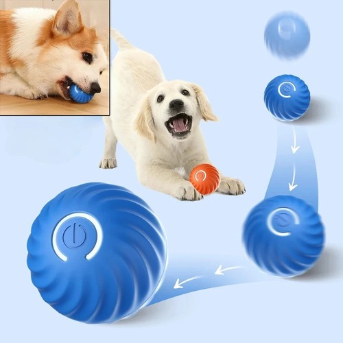 Interaktiver hundespielzeug - interaktiver,