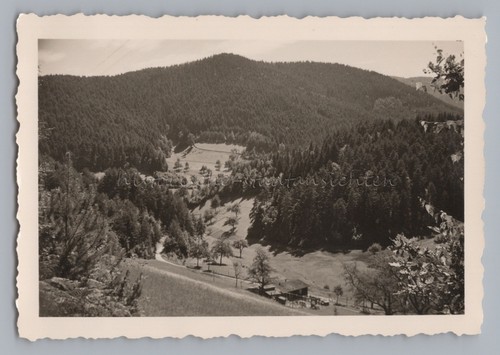 Elzach elztal oberprechtal - elzach,