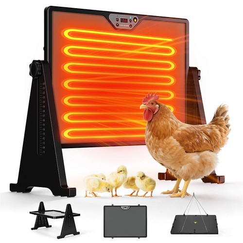 Küken heizplatte 300w - küken,
