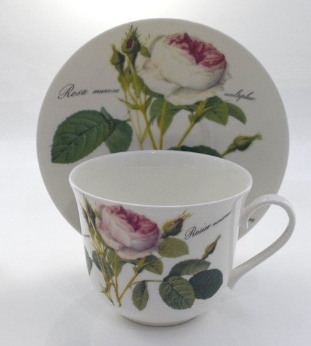 Roy kirkham redoute roses - kirkham,