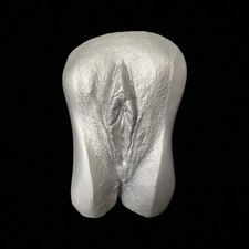 Vagina Gipsabdruck 3D Original