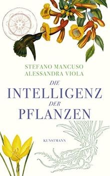Die intelligenz der - die,