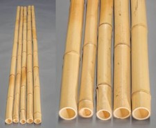 20er Set Bambusrohr gelb, Moso