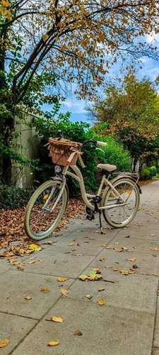 Milord komfort fahrrad - komfort,