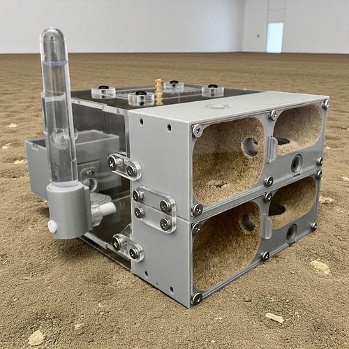 Valley ant farm 3d printed - farm,