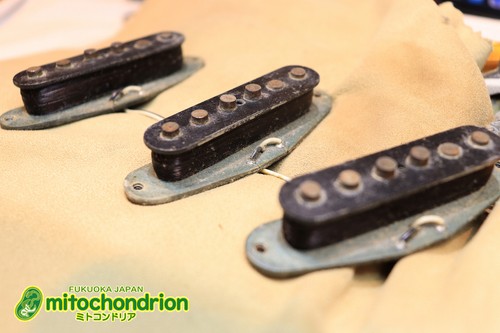Fender stratocaster 1974 ash - fender,