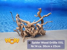 👋XXL Moorkien - Spiderwood