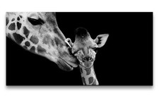 120x60cm Leinwandbild Giraffen