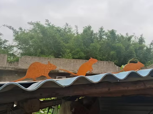 Rostige maus mäuse - 3,