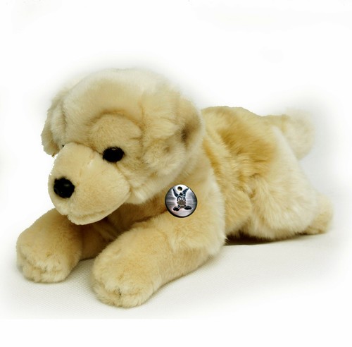 Golden retriever finja - golden,