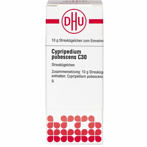 Cypripedium pubescens 30 - cypripedium,