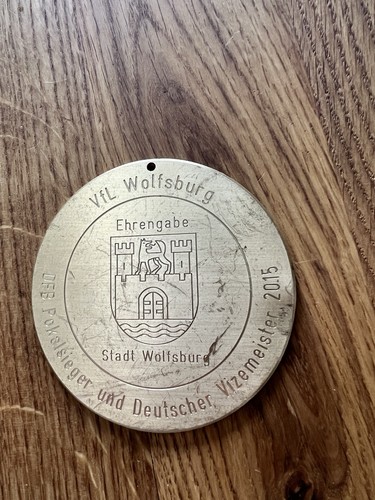 Ehrengabe stadt wolfsburg 2015 - wolfsburg,