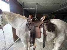 POOL's SADDLE WADE Modified Working Ranch und Roping 16 Zoll Western Saddle