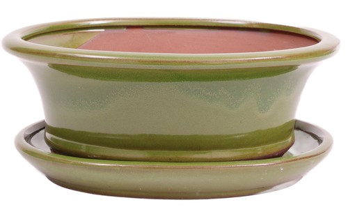 Bonsai schale oval 17 - oval, 17,5