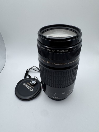 Canon 300mm 5 - canon, f/4-5.6