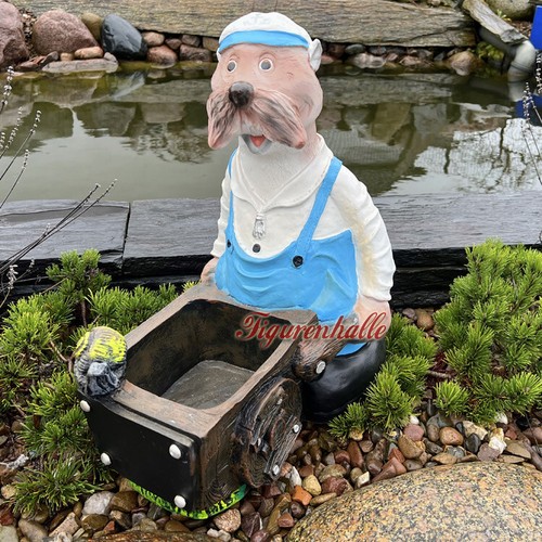 Seehund kapitän seemann - seehund,