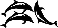 Delfine Aufkleber 3 Stück