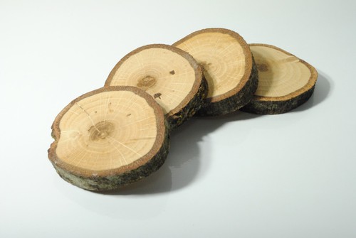 Roteiche baumscheibe cm - baumscheibe, 8