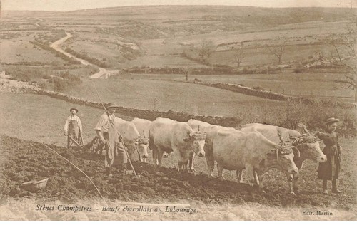 Charolles as38489 - 71,