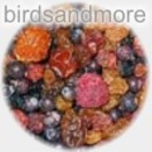Beerenmix für vögel - beerenmix, 800g