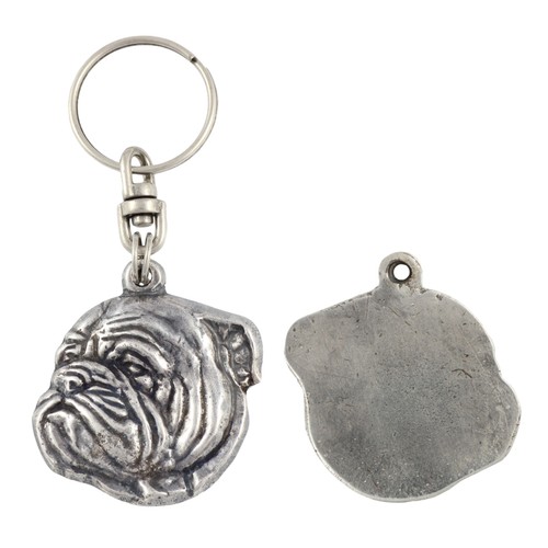 Englische bulldogge bulldog - englische, bulldogge,