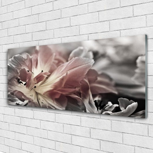 Acrylglasbilder wandbilder - acrylglasbilder,