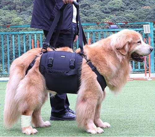 Kokoie hundetragehilfe - kokoie,