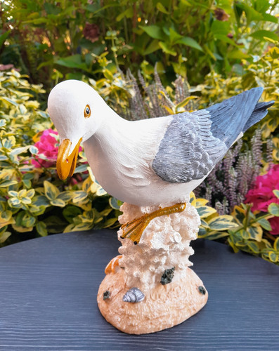 19cm möwe auf einer - auf, koralle