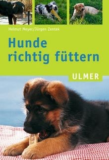 Hunde richtig füttern ulmer - füttern, (ulmer