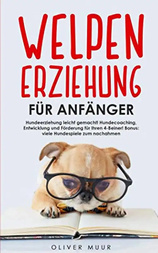 Welpenerziehung für