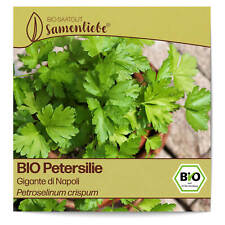 BIO Petersilie Samen Sorte Gigante di Napoli Kräutersamen BIO Kräuter Saatgut sa