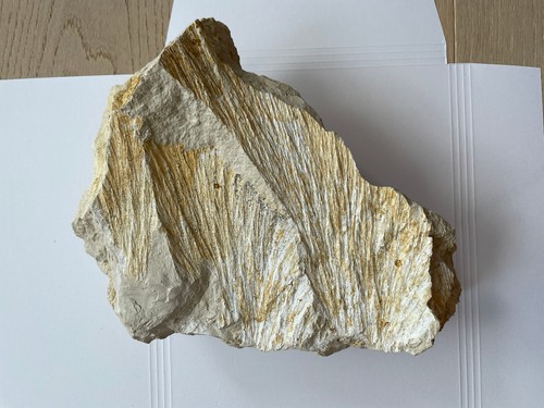 Shatter cone strahlenkalk - shatter,