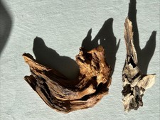 Treibholz Schwemmholz