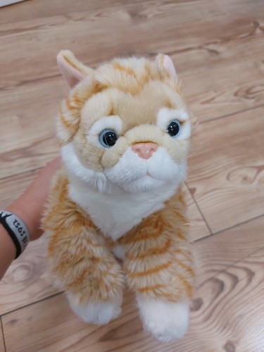 Rote katze selbstgestopft - rote,