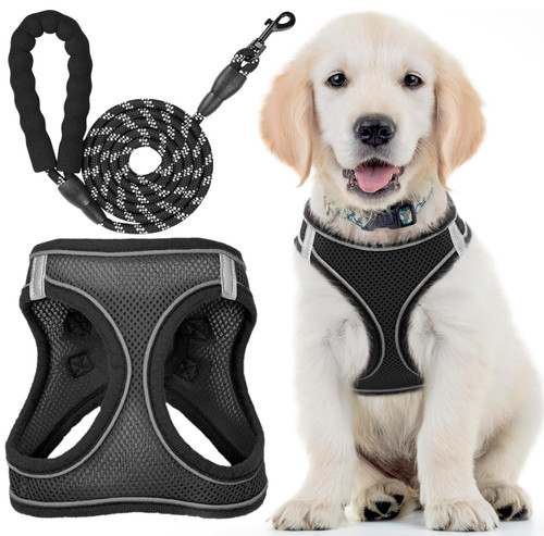 Hundegeschirr mit leine - gr., l