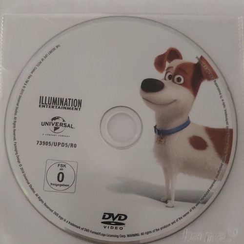 Universal pets dvd - pets, film