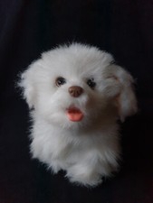 Hasbro 2010 Fur Real Friends