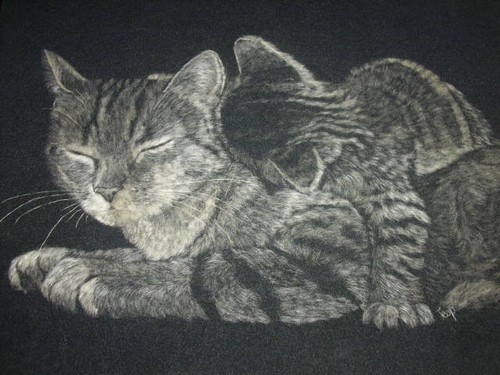Katze mit kind 5 x - mit,
