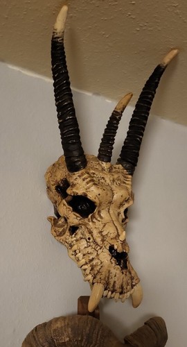 Großer drachenkopf schädel - großer,